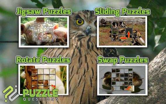 Free Animal Games screenshot 3