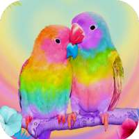 Bird Wallpaper HD on 9Apps