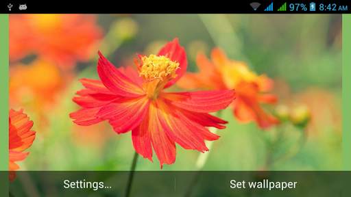 HD Nature Live Wallpapers screenshot 3
