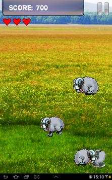 Sheep Game for Android screenshot 10