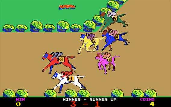 Horse Racing screenshot 16