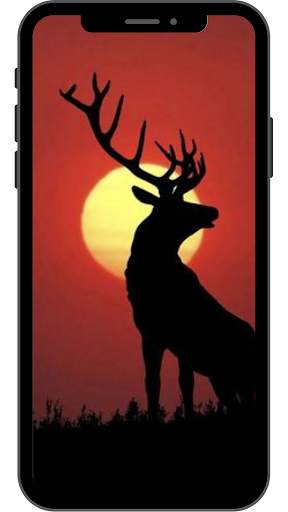 Sunset Wallpaper for Android 4K HD screenshot 11