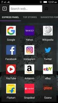 Connect Web Browser screenshot 1