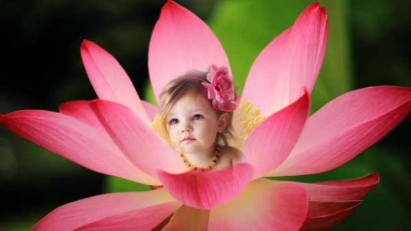 Lotus Photo Frames screenshot 2