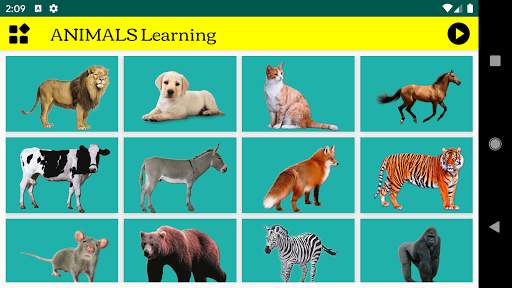 Easy Kids Learning (Offline) screenshot 5