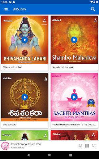 Shiva Devotional screenshot 10