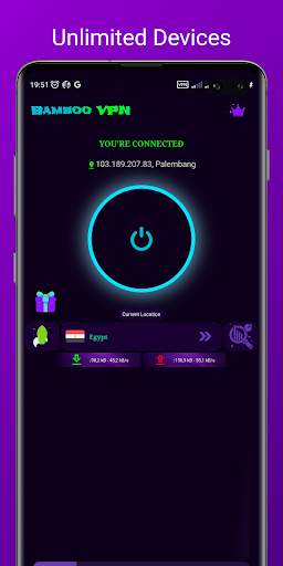 Bamboo VPN screenshot 4