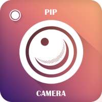 PIP Camara