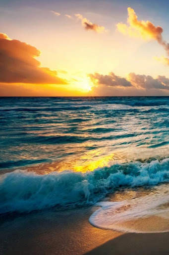 Beach Video Live Wallpaper screenshot 4