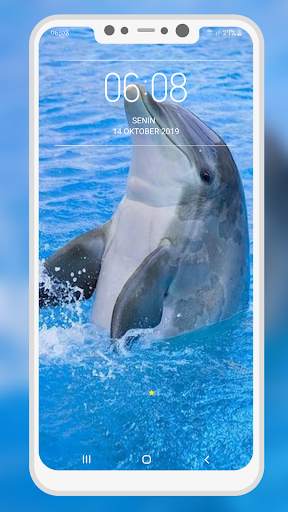 Dolphin Wallpaper screenshot 9