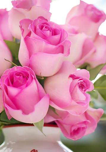 Pink Roses Live Wallpaper screenshot 3
