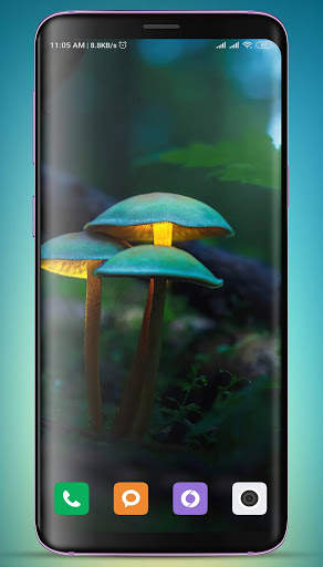 Mushroom Wallpaper HD screenshot 7
