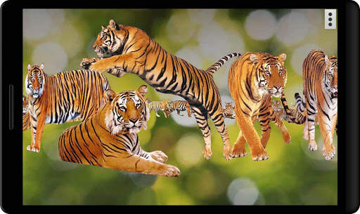 4D Tigers of Durga Live Wallpaper screenshot 6