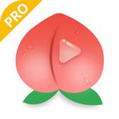Peach Browser Pro 1.10.03