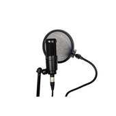 SH Vocal Coaching