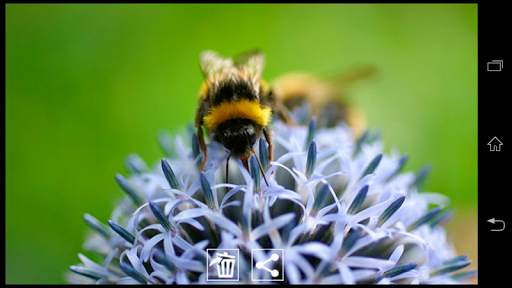 Cam Gallery screenshot 2