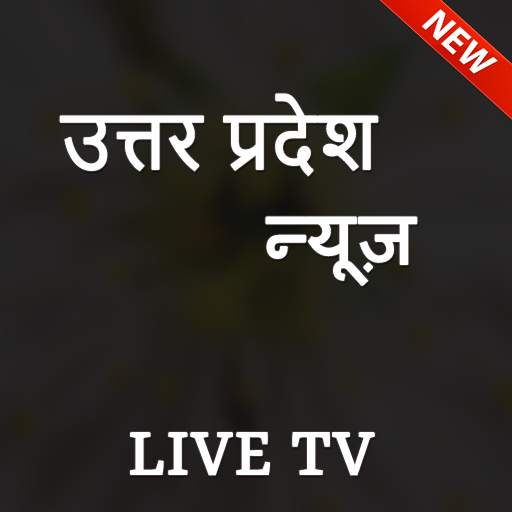 UP News Live TV - All UP News Papers 1.0