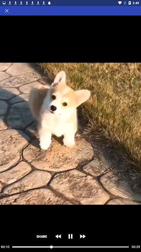 Video Downloader for Facebook screenshot 4