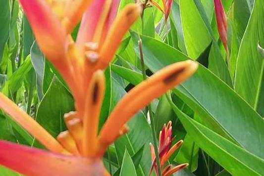 Camera For Samsung Galaxy J2 Pro screenshot 2