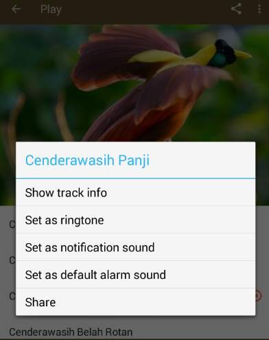 Kicau Burung Cenderawasih screenshot 4