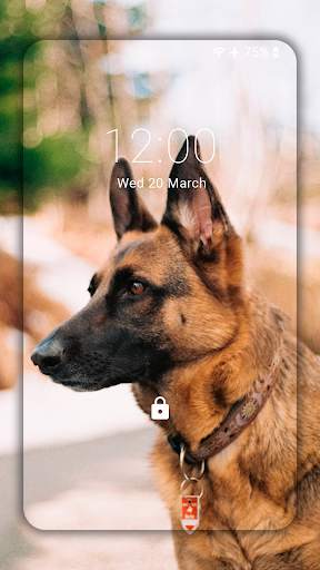 German Shepherd Wallpapers  (backgrounds & themes) screenshot 3