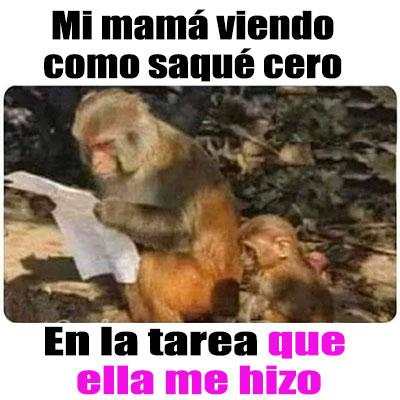 Imagenes chistosas screenshot 7