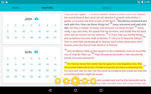 Audio Bible screenshot 8