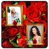 Red Rose Photo Collage Frames 1.0.2