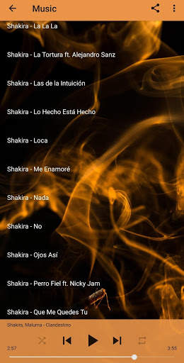 Shakira Music and Lyrics screenshot 4
