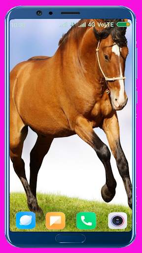 Horse Wallpaper screenshot 8