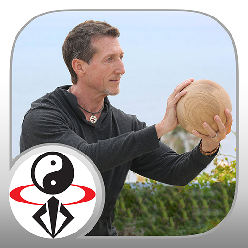 ikon Tai Chi Ball Beginner