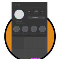 icon