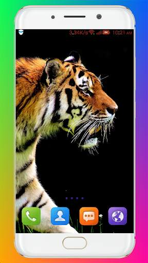 Tiger Wallpaper HD screenshot 10