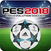 Guide PES 18 1.0