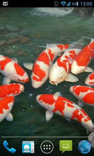 Magic Touch Koi Fish 3 تصوير الشاشة