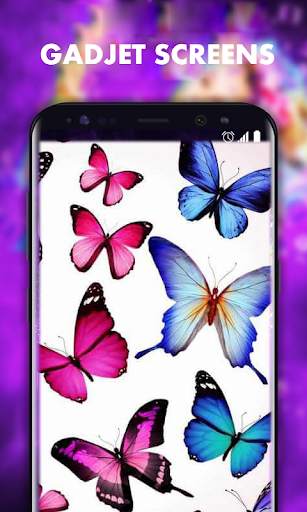 Beautiful Butterfly Wallpapers HD screenshot 3