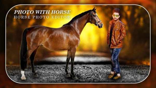 Horse Photo Editor screenshot 2