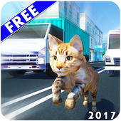 Run Run Talking Tom icon
