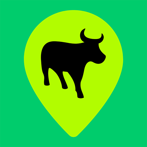 Flash One icon