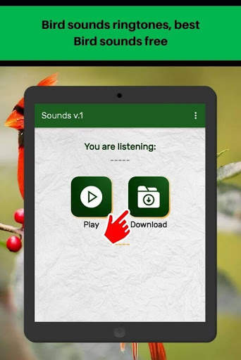 Bird sounds ringtones, best Bird sounds free screenshot 8