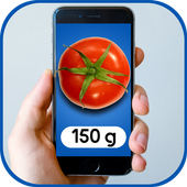 Pocket Scales Simulator icon
