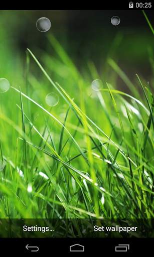 Grass Live Wallpaper screenshot 3