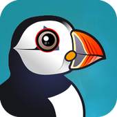 New Puffin Web Browser 2018 Advice 1.0