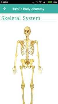 Human Body Anatomy скриншот 4