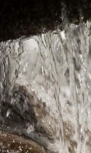 Aquatic wall live wallpaper screenshot 1