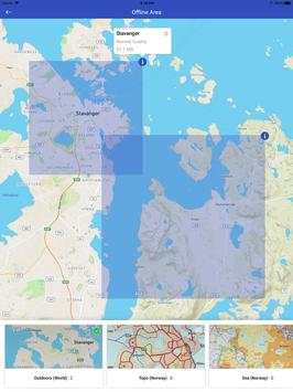 Fjellsti Lite screenshot 12