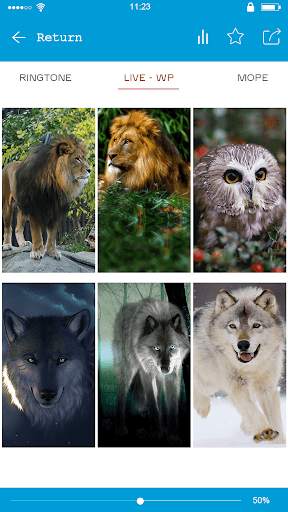 Ferocious beast Animal  Wallpaper скриншот 2