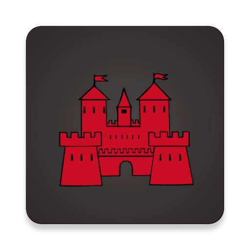 Castle Car Service Inc 10.001.109