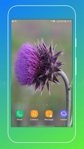 Macro Wallpaper screenshot 11