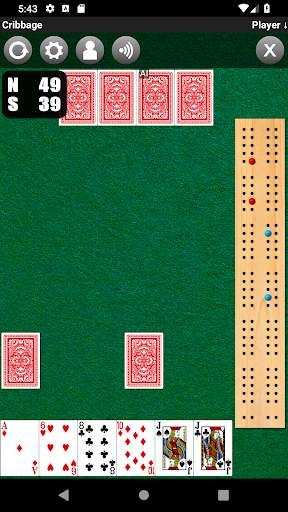 Cribbage screenshot 4